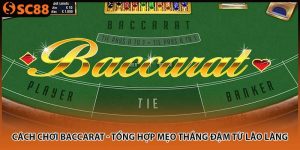 cach choi baccarat tong hop meo thang dam tu lao lang