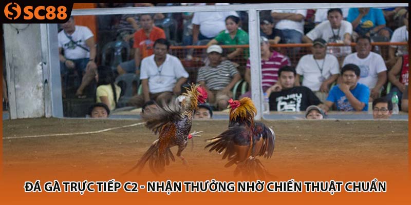 da ga truc tiep c2 nhan thuong nho chien thuat chuan
