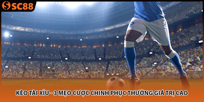 keo tai xiu 3 meo cuoc chinh phuc thuong gia tri cao
