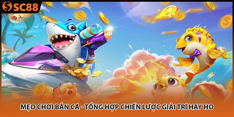 meo choi ban ca tong hop chien luoc giai tri hay ho