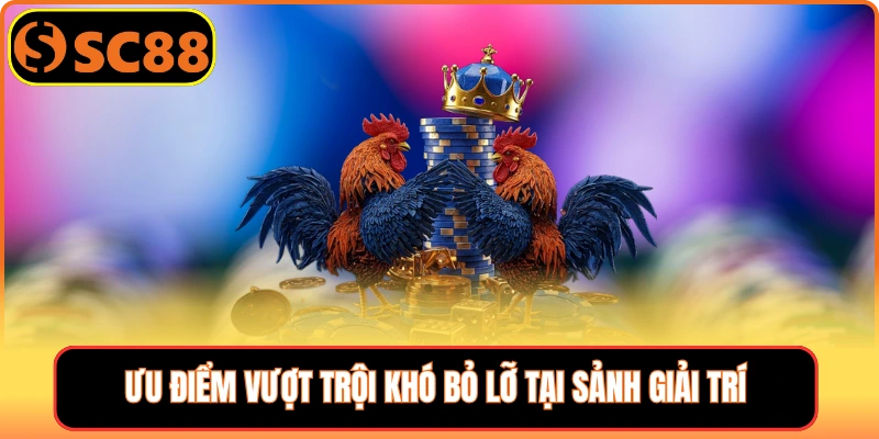 Ưu điểm vượt trội khó bỏ lỡ tại sảnh giải trí