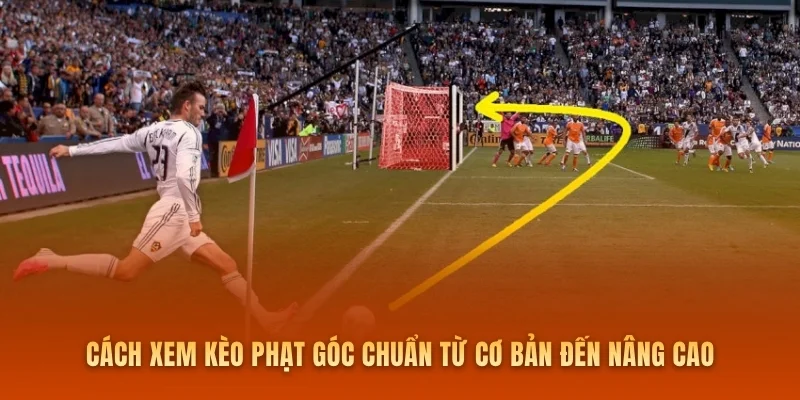 Cách xem kèo phạt góc chuẩn từ cơ bản đến nâng cao