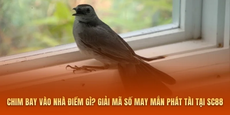 Chim Bay Vào Nhà Điềm Gì? Giải Mã Số May Mắn Phát Tài Tại SC88