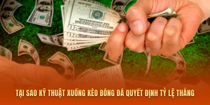Tại sao kỹ thuật xuống kèo bóng đá quyết định tỷ lệ thắng