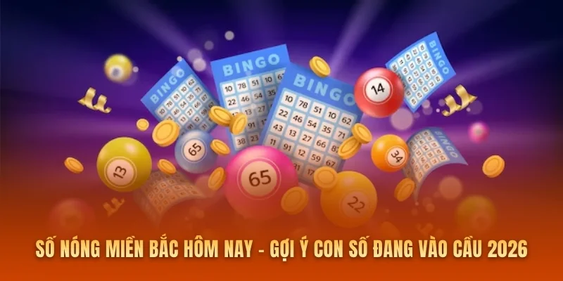 Số Nóng Miền Bắc Hôm Nay – Gợi Ý Con Số Đang Vào Cầu 2026